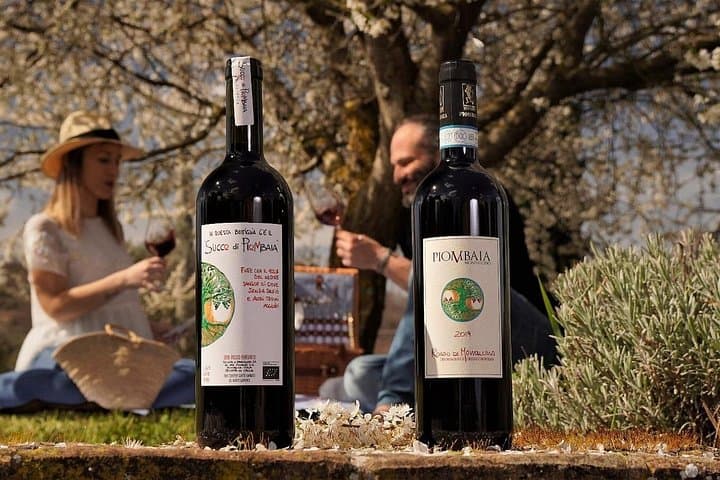 Chianti & Montalcino Wine Tour from San Gimignano
