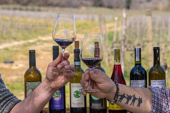 Chianti & Montalcino Wine Tour from San Gimignano