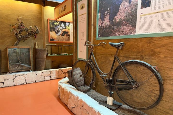 Alberobello : Wine Experience with visit to Winery and Wine Museum