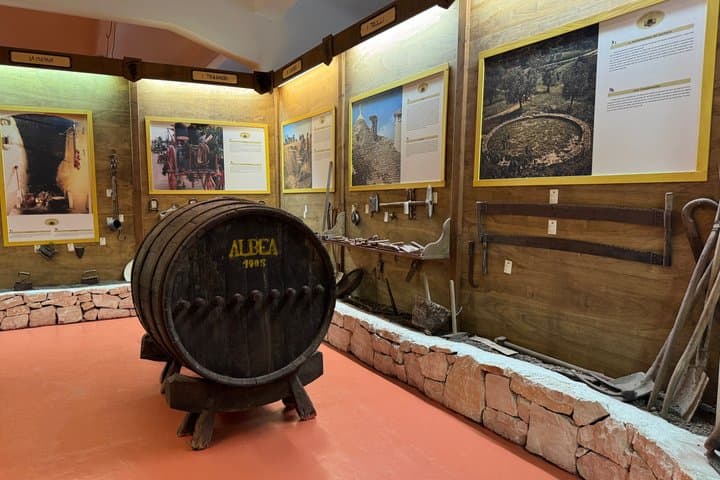Alberobello : Wine Experience with visit to Winery and Wine Museum