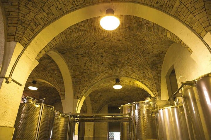 Alberobello : Wine Experience with visit to Winery and Wine Museum