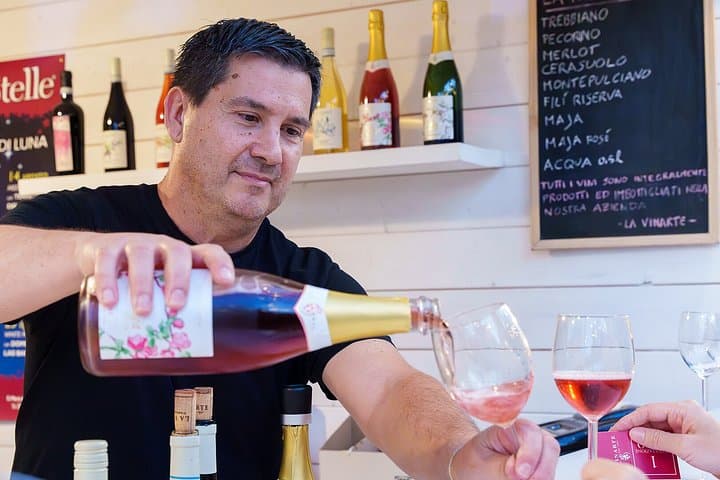 Wine Tasting and Guided Visit to the Vineyard and Cellar in S. Maria Imbaro