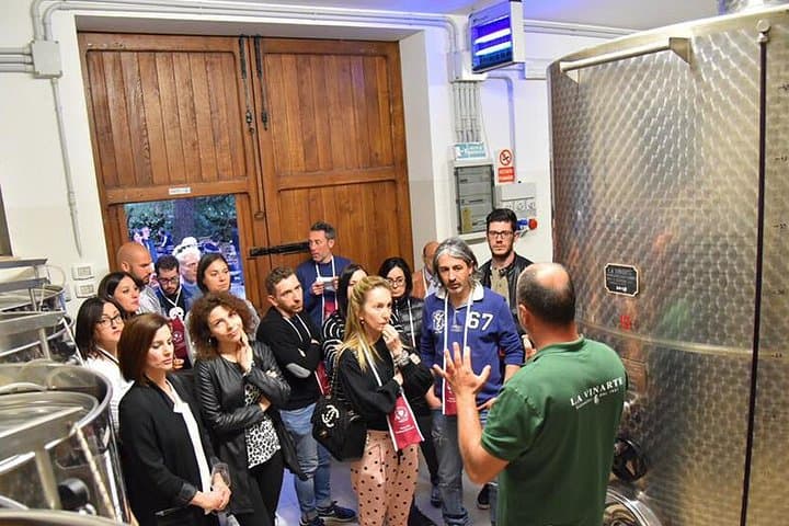 Wine Tasting and Guided Visit to the Vineyard and Cellar in S. Maria Imbaro