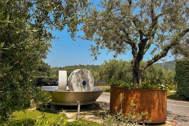 From Abano and Montegrotto: Oil and Wine Tour of the Euganean Hills