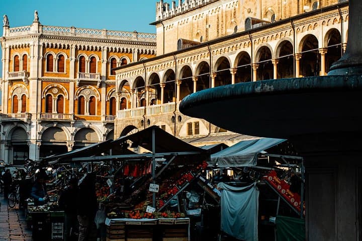 Live Padua as a local