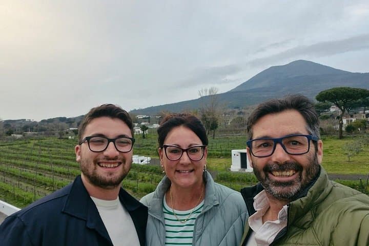 Guided excursion to Pompeii Excavations from Vietri sul Mare