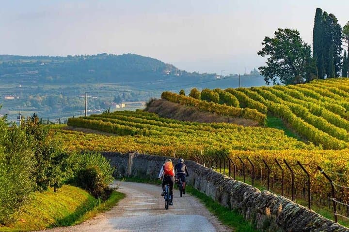 Exclusive Private 3 Days Amarone Wine Experience from Florence