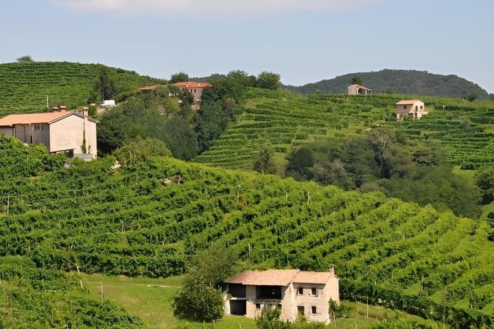 Exclusive Private 3-Day Barolo Wine Experience from Florence