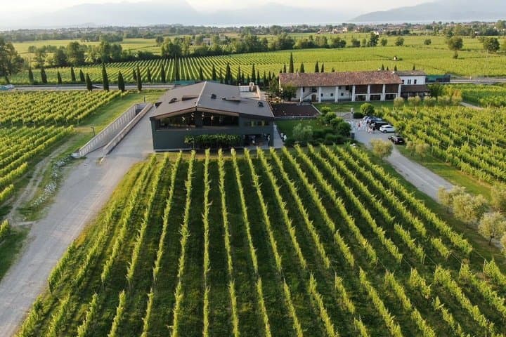 Exclusive Private 3-Day Barolo Wine Experience from Florence