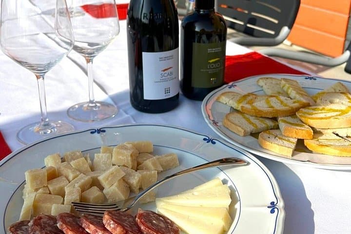 Organic Wine Tasting and Local Food with View near Rimini