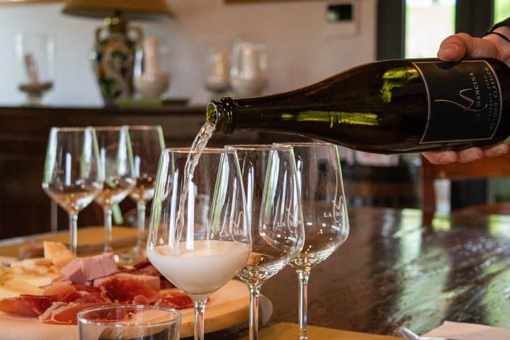 Taste of Tradition: Parmigiano, Wine & Balsamic Tour from Bologna