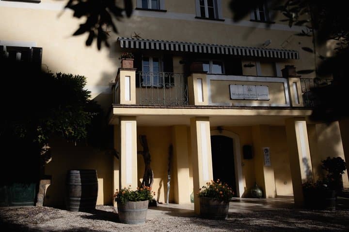 Vineyard Picnic at a Family Winery Near Orvieto