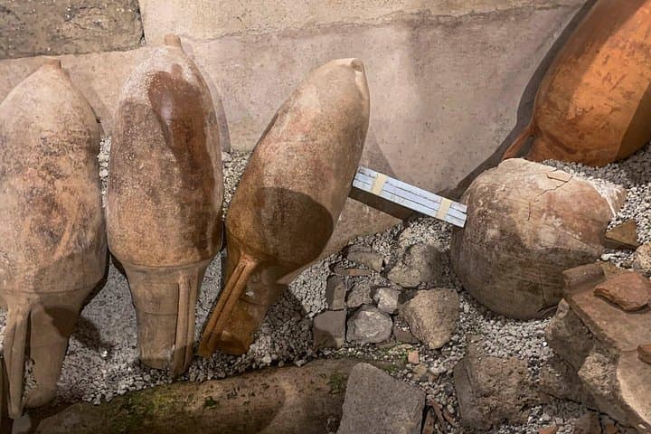Private Pompeii Tour from Naples with Guide and Transport
