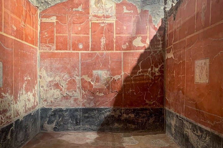 Private Pompeii Tour from Naples with Guide and Transport