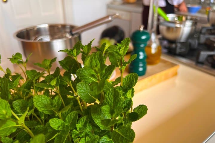 Sicilian Cooking Class in Palermo with Francesco