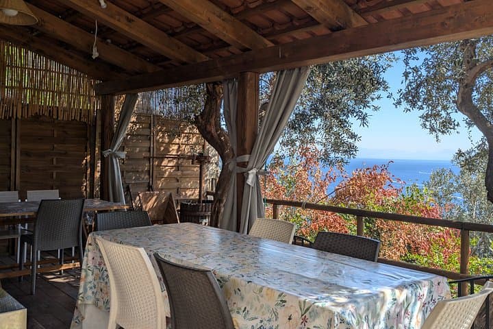 Authentic Cooking with Locals: Meal, Wine & Scenic Views