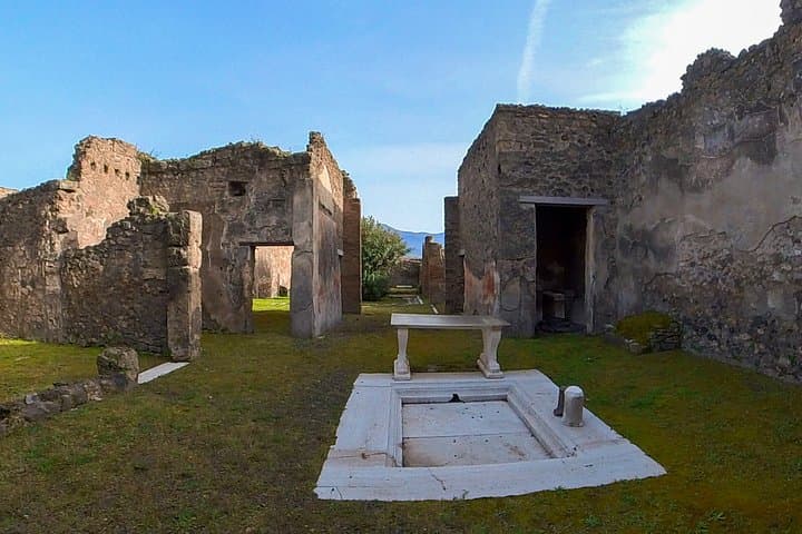 Pompeii and Vesuvius Skip the line Trip from Sorrento or Naples