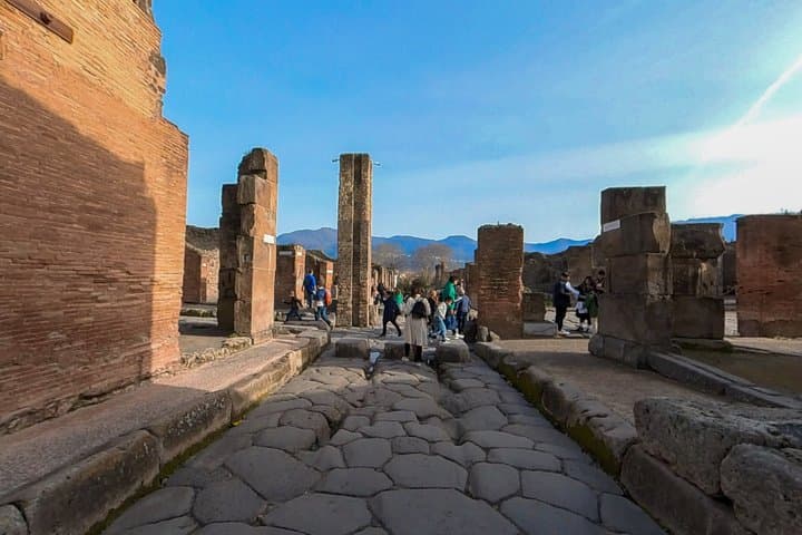 Pompeii and Vesuvius Skip the line Trip from Sorrento or Naples