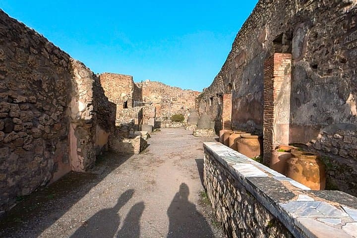 Pompeii and Vesuvius Skip the line Trip from Sorrento or Naples