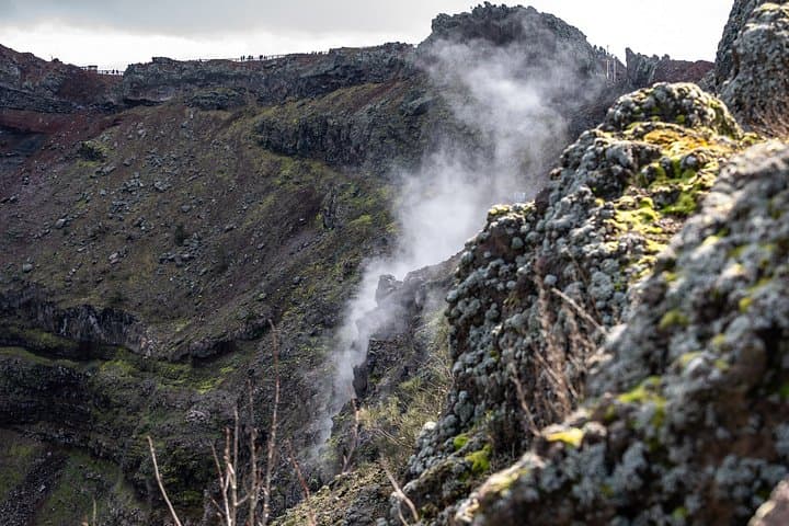 Pompeii and Vesuvius Skip the line Trip from Sorrento or Naples
