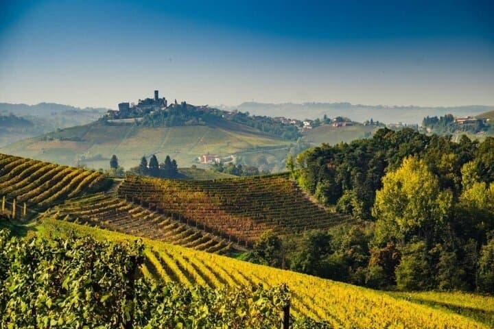 Exclusive Private 3 Days Amarone Wine Experience from Florence