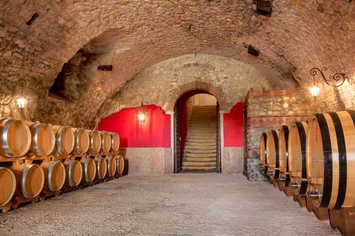 Exclusive Private 3 Days Amarone Wine Experience from Florence