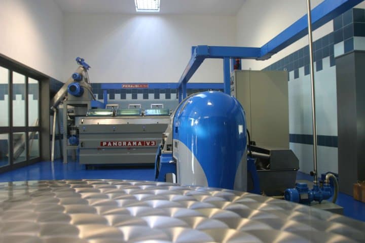 Olive Oil Tour and Tasting Experience in Salento
