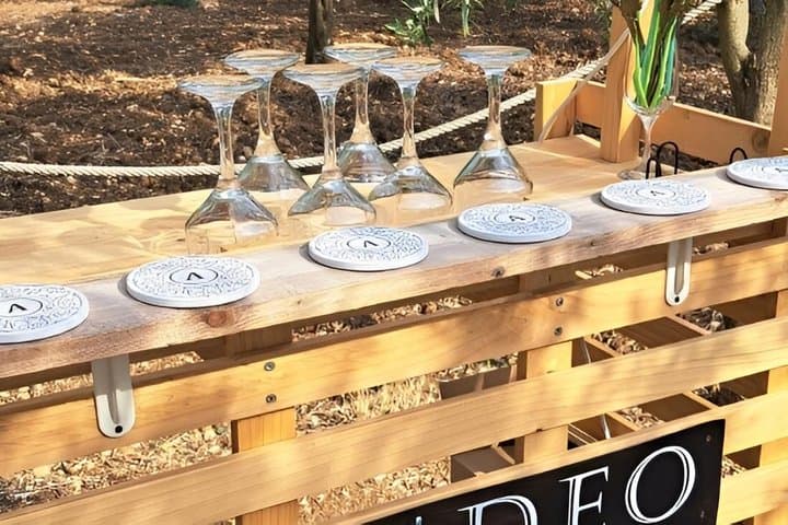 Olive Oil Tasting and Experience (The Original in Sicily)