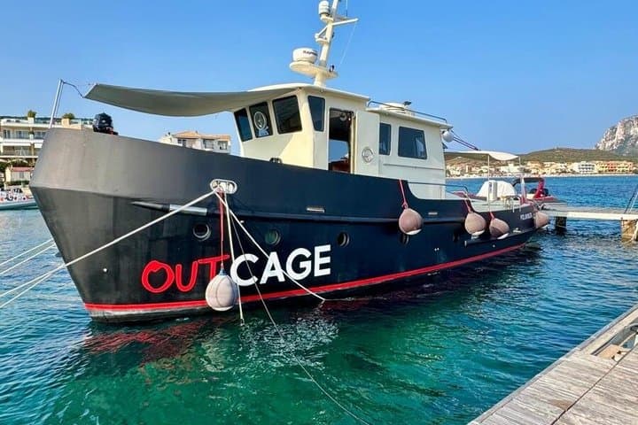 Golfo Aranci 3-hour cruise: dolphins and aperitif on vintage yachts