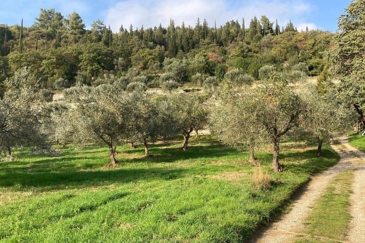 PRIVATE Tuscan Cooking Class in Fabio's Florence Countryside Home