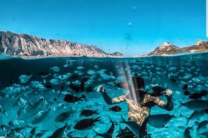 Tavolara Boat Tour and Snorkeling