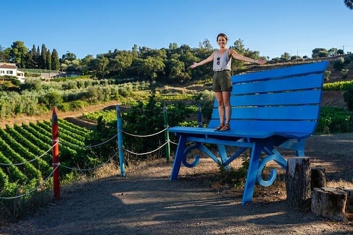 Authentic Elba Wine Tasting with Vineyard Walk & Sea Views