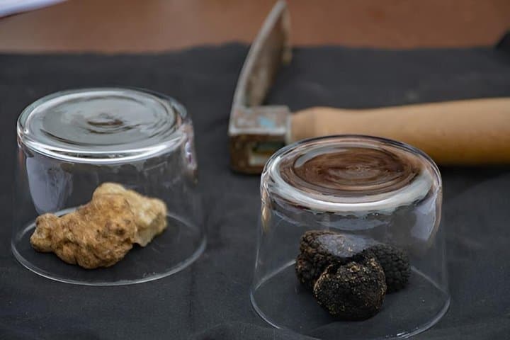 Après Shopping : Wine,Truffle, Stay, 15 min from Serravalle Outlet