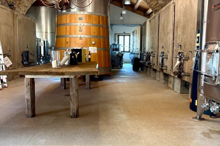 Wine tasting and visit to the winery a few steps from Cagliari