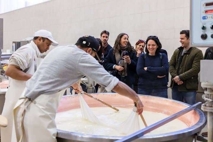 Parmigiano, Balsamic & Winery Tour with Light Lunch from Bologna
