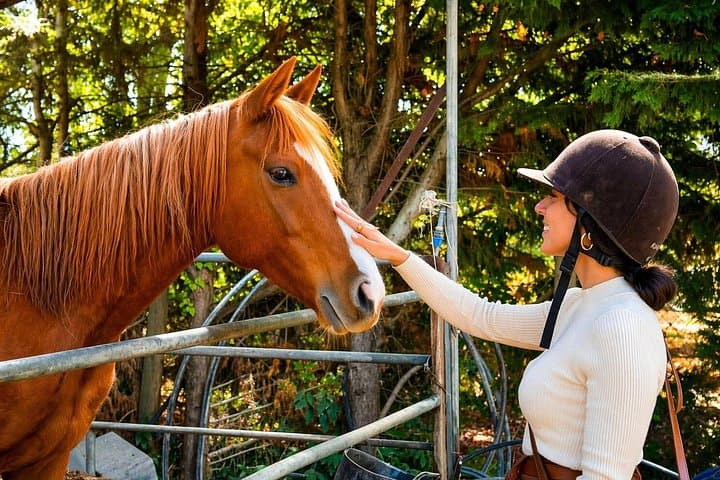 Chianti Horseback Riding Tour at San Gimignano