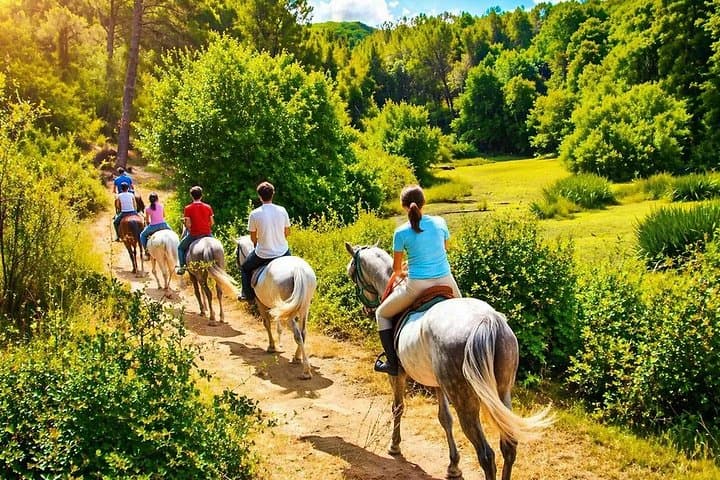Tuscan Chianti Hills Horseback Riding Tour