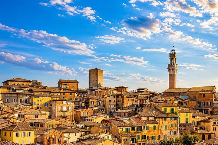 Signature Brunello di Montalcino Wine Tour from Siena