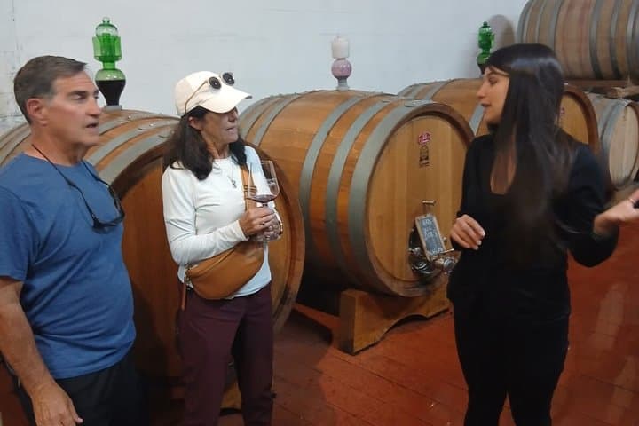 Private Chianti Wine Tour from Florence with Lunch & Terracotta