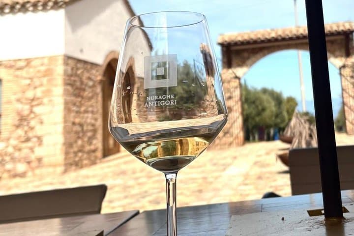 Wine tasting and visit to the winery a few steps from Cagliari