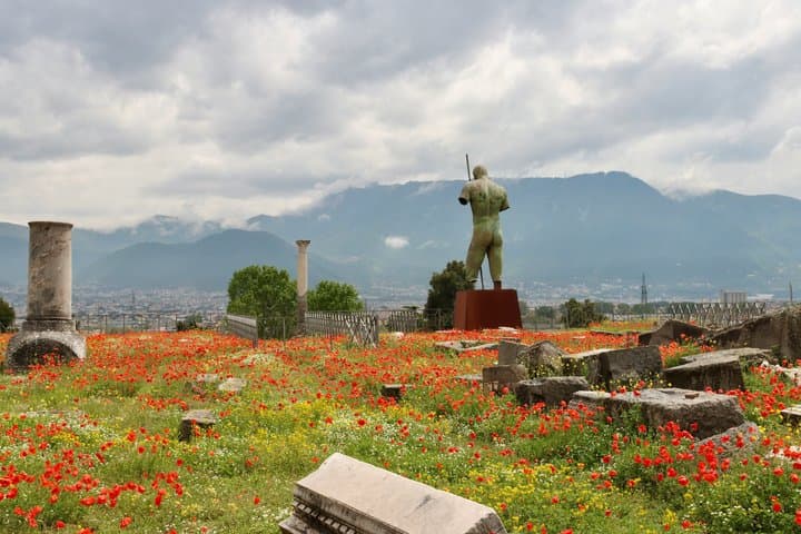 Pompei Private Full Day Tour from Rome – Amalfi optional - Luxury