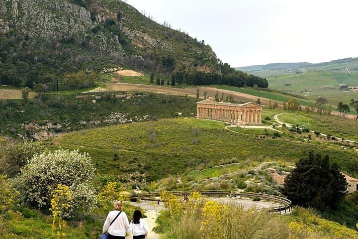 Segesta, Erice, Marsala Salt Pans and Mozia Island from Palermo, Private Tour