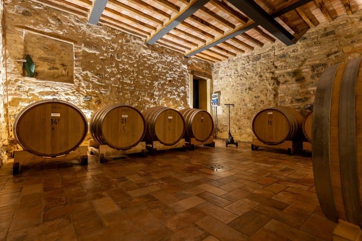 From Cortona Brunello di Montalcino Wine Tour with Lunch