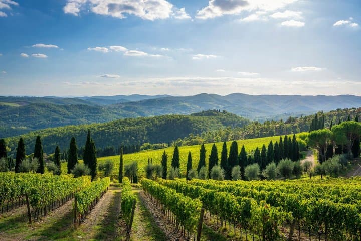 From Rome to Florence through Tuscany Private Chianti Experience