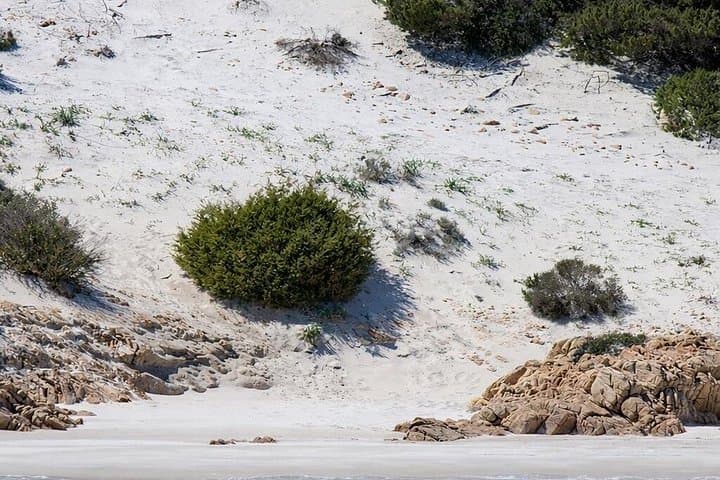archipelago of La Maddalena by motorboat from S Teresa G