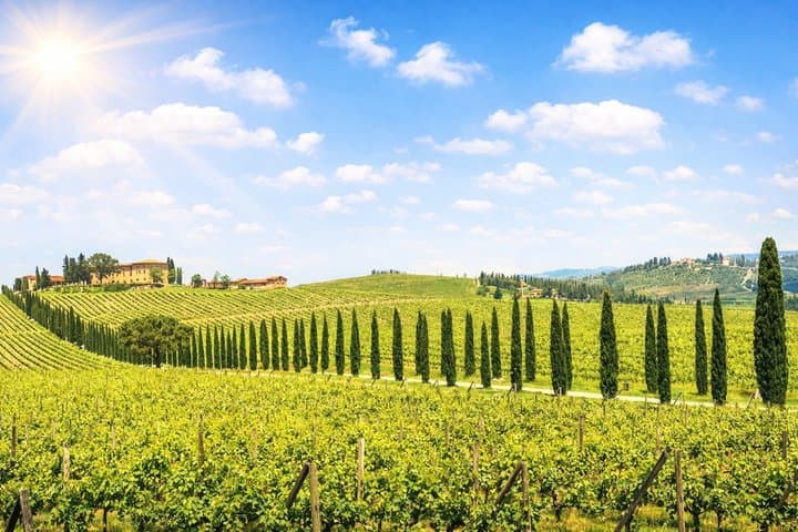 Florence Day Trip: Pisa, San Gimignano and Siena with Lunch