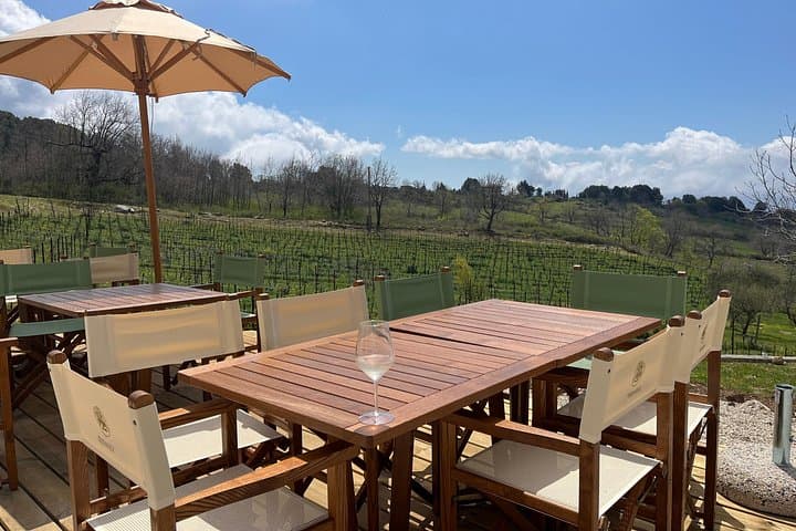 Cilento Wine: Tour & Tasting Experience