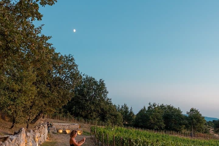 Cilento Wine: Tour & Tasting Experience