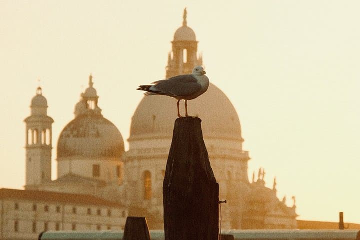 Sunset Boat Tour in Venice