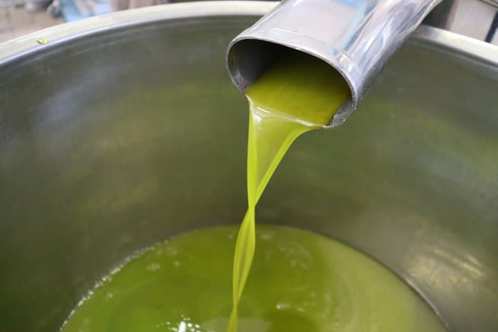 Olive oil tasting in Sorrento